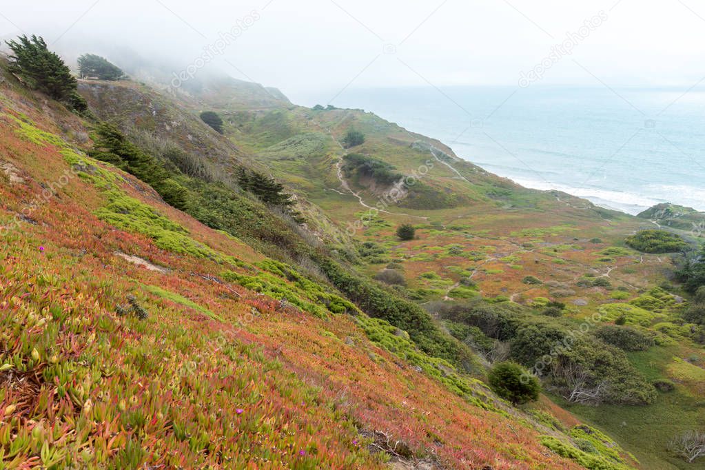 Foggy Ice Plant Dunes overlooking the Pacific Ocean. Thornton State Beach, Daly City, San Mateo County, California, USA.