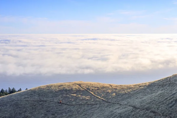 Tamalpais 山上的云层之上 马林县 加利福尼亚 — 图库照片