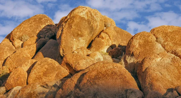 Jumbo Rotsen Late Middag Zon Joshua Tree National Park Californië — Stockfoto