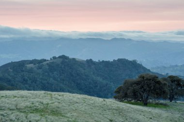 Barbekü Terrace Road Mt Diablo dan görüldüğü gibi Las Trampas bölgesel Wilderness üzerinde haddeleme sis. MT şeker hastalığı State Park, Contra Costa County, Kaliforniya, ABD.