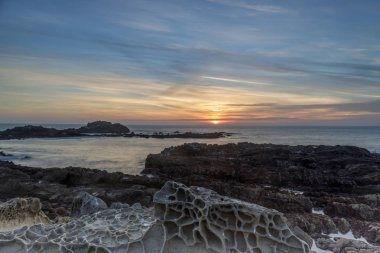 Tafoni kaya oluşumları fasulye içi boş devlet Beach. San Mateo County, Kaliforniya, ABD.