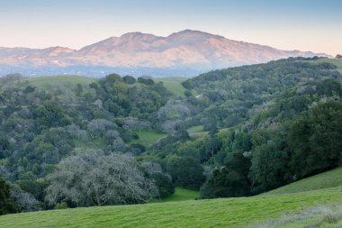 MT Briones Bölge Parkı'ndan batımında görülen şeker hastalığı. Martinez, Contra Costa County, Kaliforniya, ABD.