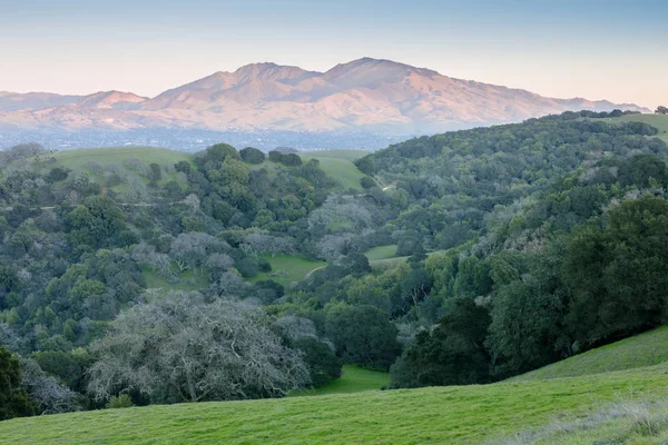 Diablo Visto Dal Parco Regionale Briones Tramonto Martinez Contea Contra — Foto Stock