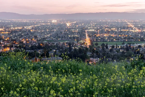 High Silicon Valley Colored Field Mustards Spring Hamilton Santa Clara — Stock Photo, Image