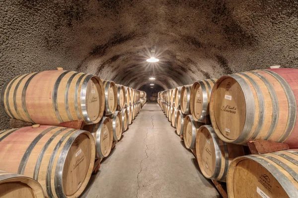 カリフォルニア州カリストガ 2019年4月27日 カステッロ アモロサの地下ワインセラーに保管 13世紀スタイルのワイナリーでは 城のガイド付きツアーとイタリア風ワインのテイスティングを提供しています — ストック写真