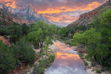 Bekçi'nin renkleri. Zion Ulusal Parkı, Utah, Abd. Canyon Junction Köprüsü'nden Watchman görünümü Zion Milli Parkı'nda en çok fotoğraflanan manzaralarından biridir.