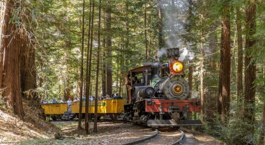 Felton, California - 31 Ağustos 2019: Kükreyen Kampı' Dixiana Shay Steam Train Crossing Redwoods in Santa Cruz Dağları.