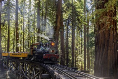 Felton, California - 31 Ağustos 2019: Santa Cruz Dağları'ndaki Trestle Crossing Redwoods üzerinde Kükreyen Kampı'nın Dixiana Shay Buharlı Treni.