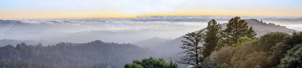 Summer Views of Santa Cruz Mountains, Mindego Hill and the Pacific Ocean Covered with Fog at Sunset. Russian Ridge Open Space Preserve, San Mateo County, California, USA.