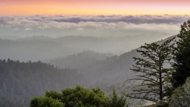 Pasifik Okyanusu'nun üzerindeki sisli Santa Cruz Dağları. Russian Ridge Açık Alan Koruma Alanı, San Mateo County, Kaliforniya, Amerika Birleşik Devletleri.