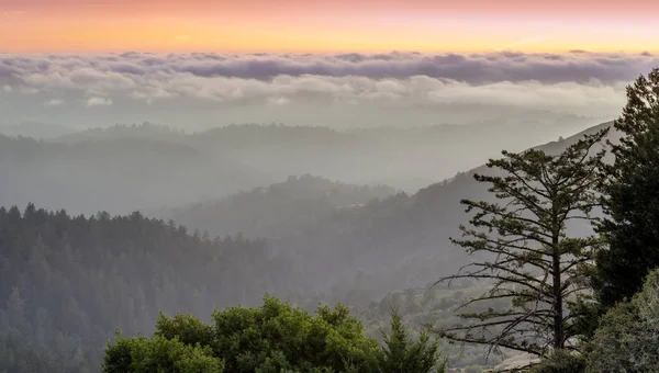 太平洋上空有雾的圣克鲁斯山脉 俄罗斯山脊开放空间保护区 圣马特奥县 加利福尼亚州 — 图库照片