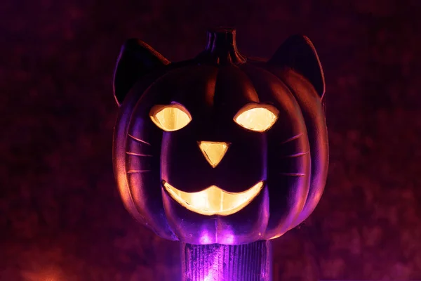 Cat Halloween Carved Pumpkin Glowing Dark Halloween Creepy Dcor Residential — ストック写真