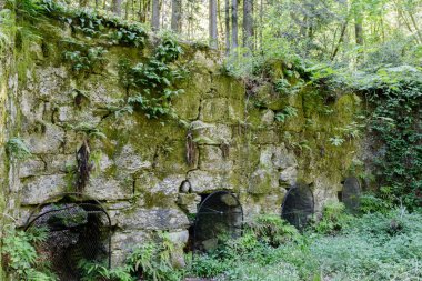 Pogonip Tarihi Kireç Fabrikaları Harabeleri. Henry Cowell Sonbahar Deresi Birimi, Santa Cruz County, Kaliforniya, ABD.