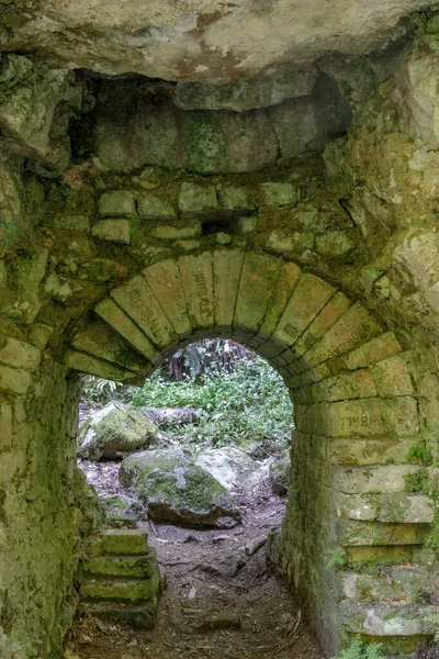 Ruines Pogonip Historique Four Chaux Dessiner Trou Henry Cowell Fall — Photo