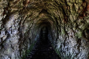 Abandoned Ocean Shore Railroad Creek Tunnel in Davenport, California, USA. Yellow Bank Creek draining through the man-made tunnel (drilled in 1907-1908) in the Santa Cruz Mudstone. clipart