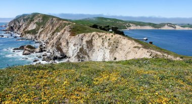 Point Reyes Ulusal Deniz Kıyısındaki Baca Kayası 'nın Bahar Manzarası. Marin County, Kaliforniya, ABD.