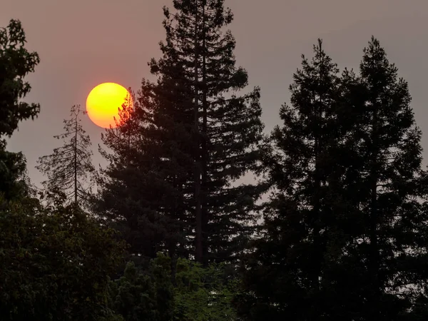 Smoky Sunset Skies during California Wildfires in August 2020
