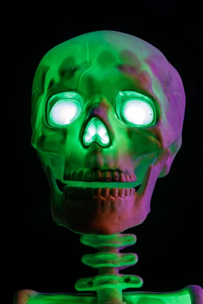 Зеленый Фиолетовый Скелет Светится Темноте — стоковое фото