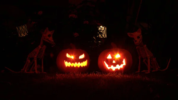 Snidade Pumpor Och Hundar Skelett Dekorera Halloween — Stockfoto