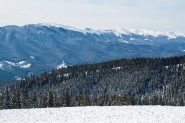 Bukovel kış. Karla kaplı dağ zirveleri. Ukraynalı Karpatlar.