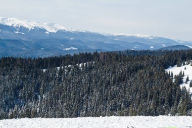 Bukovel kış. Karla kaplı dağ zirveleri. Ukraynalı Karpatlar.