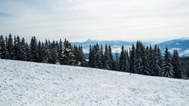 Bukovel kış. Karla kaplı dağ zirveleri. Ukrayna Carpathians.Mount Hoverla.