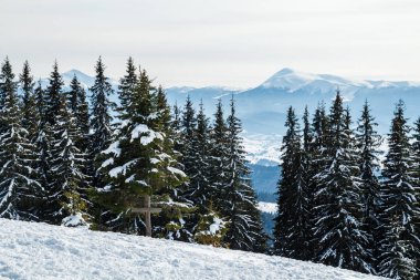 Bukovel kış. Karla kaplı dağ zirveleri. Ukrayna Carpathians.Mount Hoverla.
