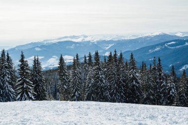 Bukovel kış. Karla kaplı dağ zirveleri. Ukrayna Carpathians.Mount Hoverla.