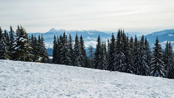 Bukovel kış. Karla kaplı dağ zirveleri. Ukrayna Carpathians.Mount Hoverla.