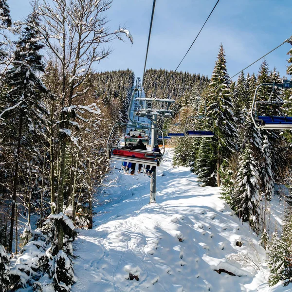 Kayakçı Snowboard Düşkünleri Teleferik Kış Orman Arasında Üzerinde Yukarıdan Bir — Stok fotoğraf