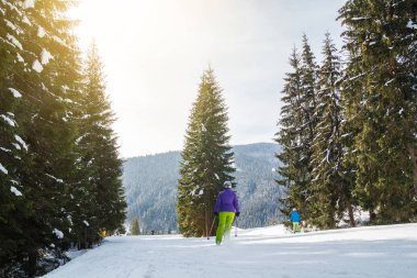 bir karlı yolda birkaç kayakçı. Dağlarda kış tatili. Dağ kayak beldesinde Karpatlar