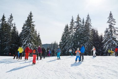 bir karlı yolda birkaç kayakçı. Dağlarda kış tatili. Dağ kayak beldesinde Karpatlar