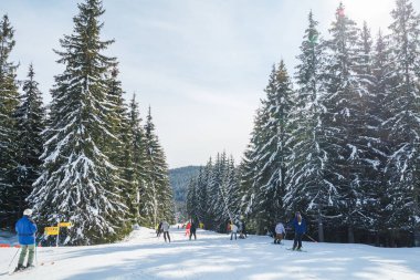 bir karlı yolda birkaç kayakçı. Dağlarda kış tatili. Dağ kayak beldesinde Karpatlar