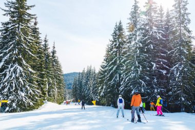 bir karlı yolda birkaç kayakçı. Dağlarda kış tatili. Dağ kayak beldesinde Karpatlar