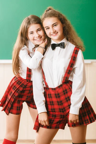 two funny schoolgirls in school uniform are standing with books on the background of the school board.