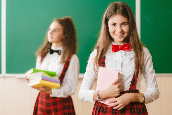 two funny schoolgirls in school uniform are standing with books on the background of the school board.