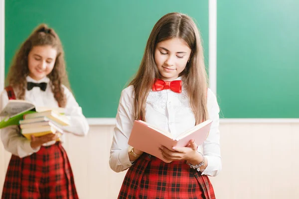 two funny schoolgirls in school uniform are standing with books on the background of the school board.