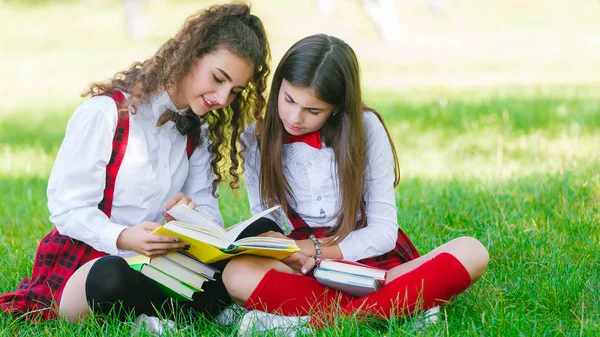 赤い制服を着た女子中学生が Books Girlfriends と緑の芝生の上に座る または姉妹屋外授業 — ストック写真