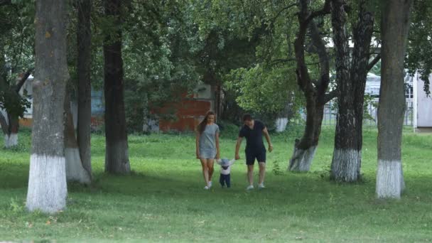 Bebê Família Feliz Mãe Pai Caminhando Juntos Beco Das Árvores — Vídeo de Stock