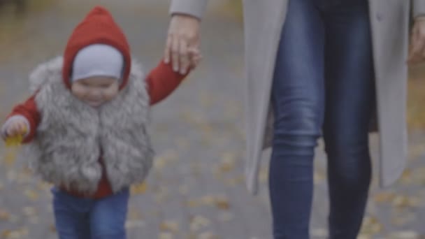 婴儿的情绪 小女孩的特写在寂寞的秋天胡同里走着妈妈 婴儿的情绪 微笑的婴儿 秋叶背景 红叶五颜六色的秋树 — 图库视频影像