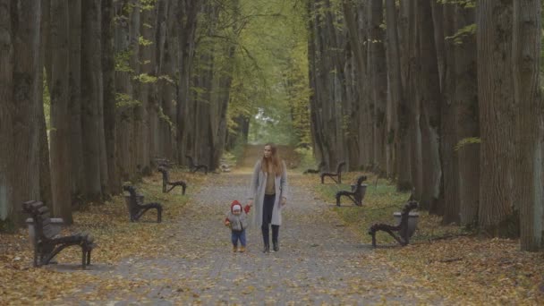 Девочка Матерью Гуляет Одинокой Осенней Аллее Осень Осенние Листья Фона — стоковое видео