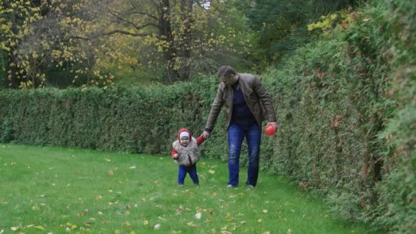 小女孩与父亲玩球在绿草与秋叶在寂寞的秋季公园 绿色金钟柏背景 红叶五颜六色的秋树 — 图库视频影像