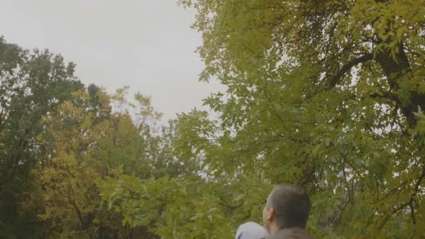 婴儿的情绪 父亲缓慢的动作把女婴扔在空中的秋树背景上 秋叶背景 红叶五颜六色的秋树 — 图库视频影像