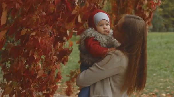 笑みを浮かべて キスしてハグ赤い秋に母と女の赤ちゃんのクローズ アップは 背景を残します 風に葉 紅葉背景 紅葉と秋の木々 長い髪の女 — ストック動画