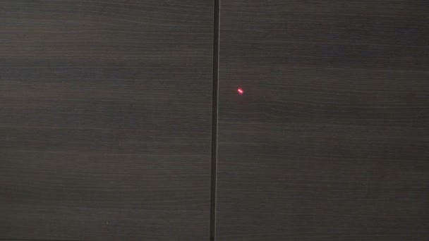 Gatto Che Gioca Con Red Dot Primo Piano Fondo Legno — Video Stock