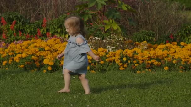 公園で光夏の緑の草の上で赤いボールで遊んで赤ちゃん女の子のクローズ アップ 赤ちゃんは 楽しい時を過します 色の夏の花背景 幸せな家族の概念 — ストック動画