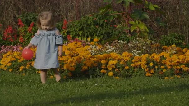 公園で光夏の緑の草の上で赤いボールで遊んで赤ちゃん女の子のクローズ アップ 赤ちゃんは 楽しい時を過します 色の夏の花背景 幸せな家族の概念 — ストック動画