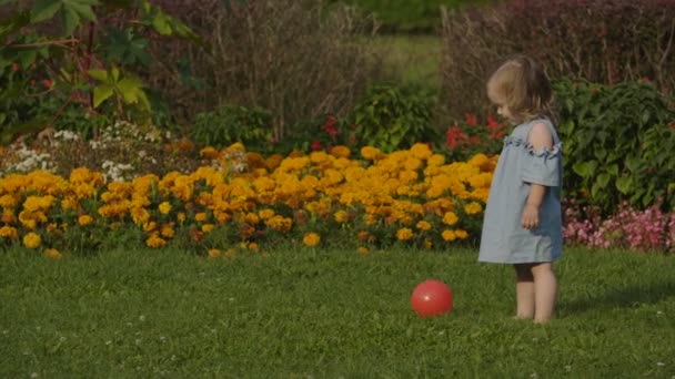 公園で光夏の緑の草の上で赤いボールで遊んで赤ちゃん女の子のクローズ アップ 赤ちゃんは 楽しい時を過します 色の夏の花背景 幸せな家族の概念 — ストック動画