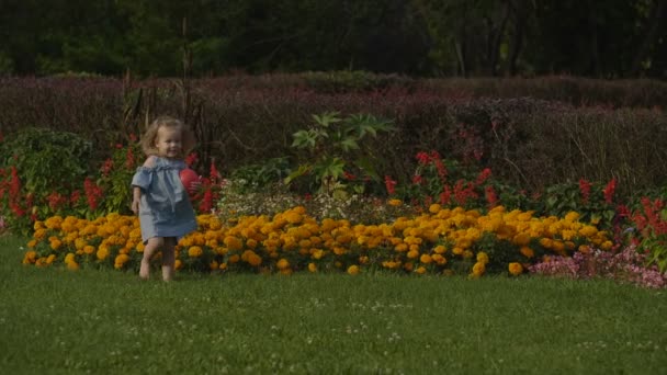 在公园的夏日灯光下 女婴在绿草上玩红球的特写镜头 宝宝玩得开心点彩色夏季花卉背景 快乐的家庭概念 — 图库视频影像