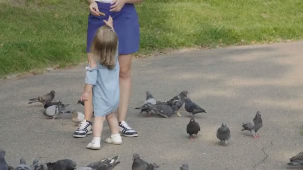 Kızı Annesi Bir Sürü Güvercin Beslemek Bebek Iyi Eğlenceler Ağır — Stok video